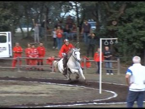 Sagra Delle Castagne A Soriano Nel Cimino Vt Palio Delle Contrade